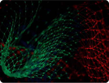 Transaction Mini Statement